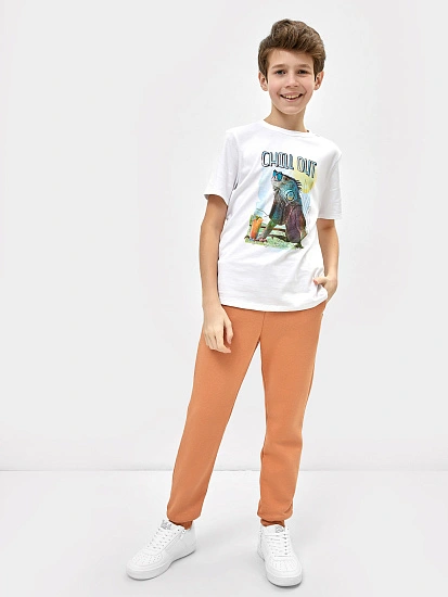 картинка БРЮКИ ДЛЯ МАЛЬЧИКОВ от магазина одежды для мальчиков от бренда Mark Formelle