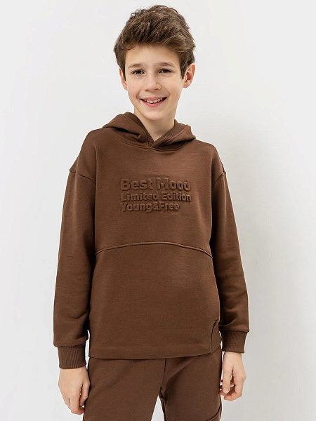 картинка Худи для мальчиков в коричневом цвете с печатью от магазина одежды для мальчиков от бренда Mark Formelle