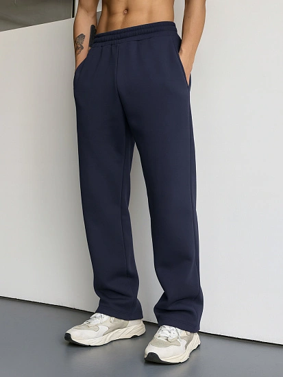 картинка Теплые брюки мужские серые с начесом от магазина мужской одежды Mark Formelle