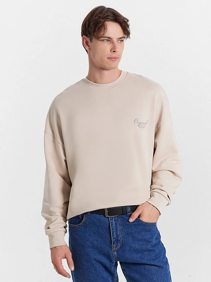 картинка Свитшот мужской бежевый с печатью от магазина мужской одежды Mark Formelle