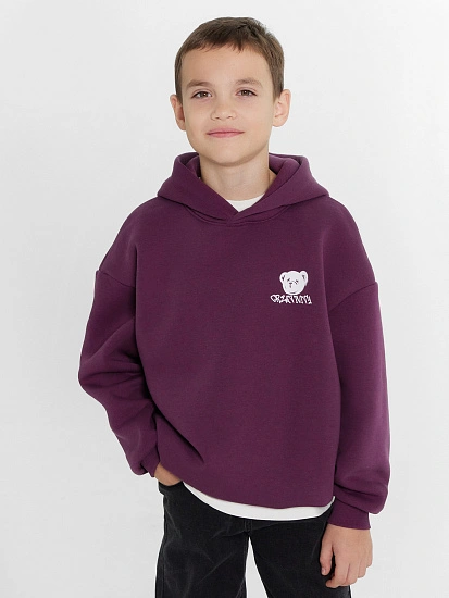 картинка ХУДИ ДЛЯ МАЛЬЧИКОВ от магазина одежды для мальчиков от бренда Mark Formelle