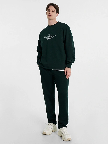 картинка Брюки мужские зеленые от магазина мужской одежды Mark Formelle