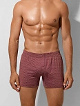 Трусы мужские бордовые с принтом