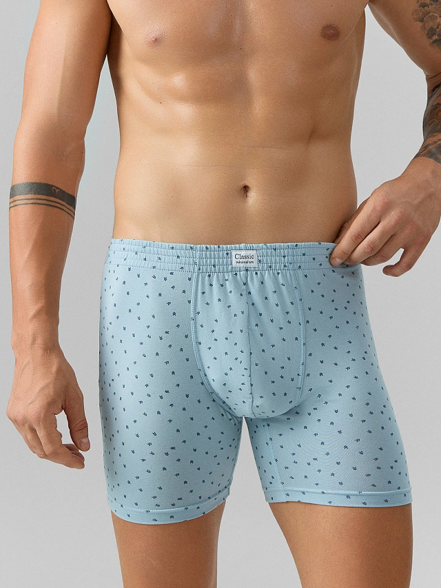 Трусы боксеры мужские голубые с принтом - 4