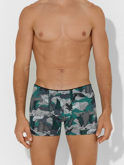 картинка Трусы боксеры мужские зеленые с принтом от магазина мужской одежды Mark Formelle