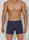 Трусы шорты мужские синие в полоску