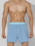 Трусы шорты мужские голубые с узором